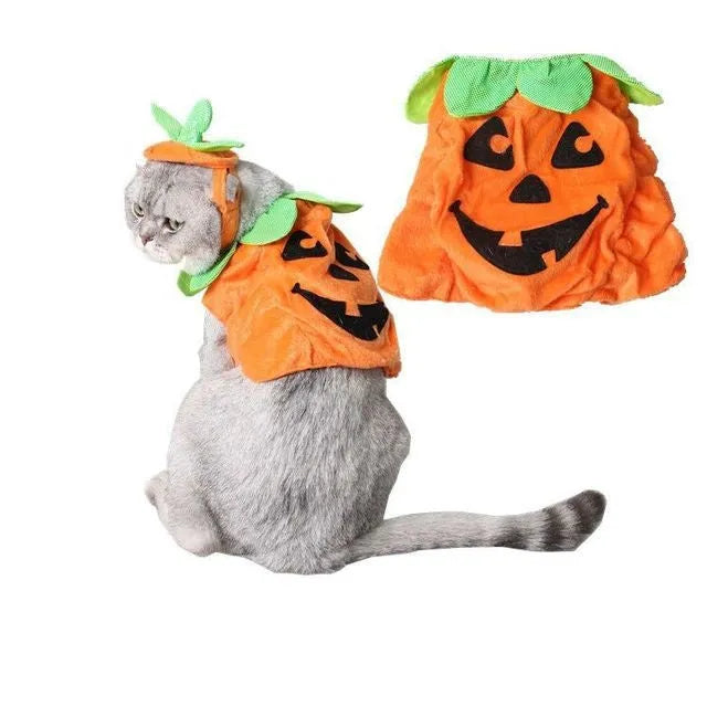 Halloween pumpkin pet costume for cats and small dogs with green leaf decoration and adjustable hat