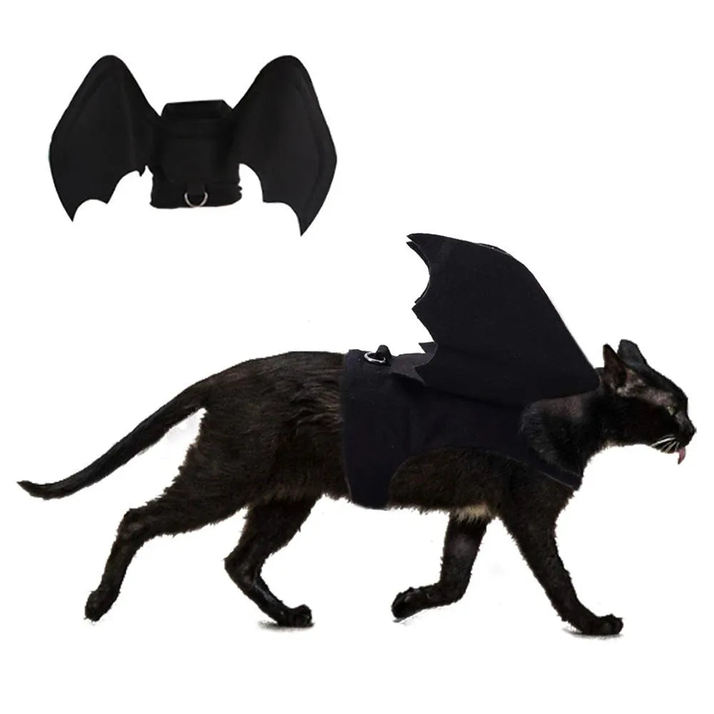 Black cloth pet bat costume with 3D wings on a dog or cat, available in sizes S M L