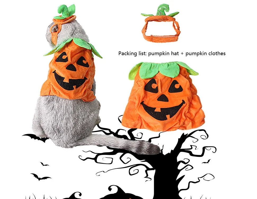 Halloween pumpkin pet costume for cats and small dogs with green leaf decoration and adjustable hat