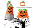 Halloween pumpkin pet costume for cats and small dogs with green leaf decoration and adjustable hat
