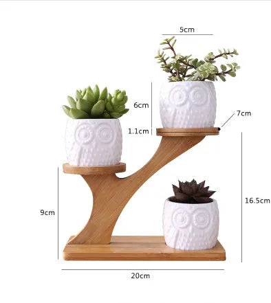 Set of three white ceramic owl planters on a bamboo tree stand against a neutral background