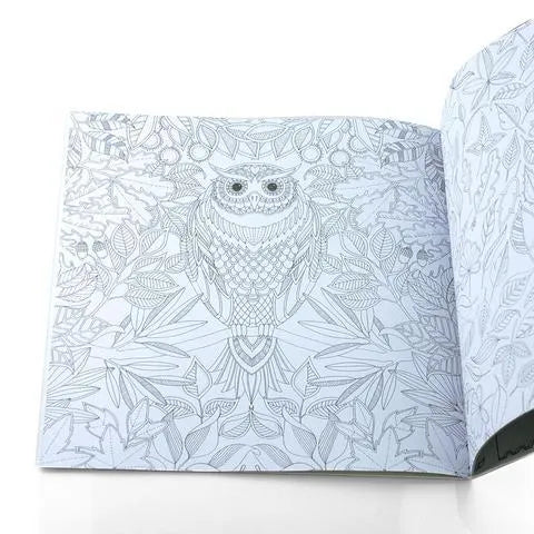 Adult DIY colouring book Secret Garden model open to a detailed black and white cartoon illustration page.