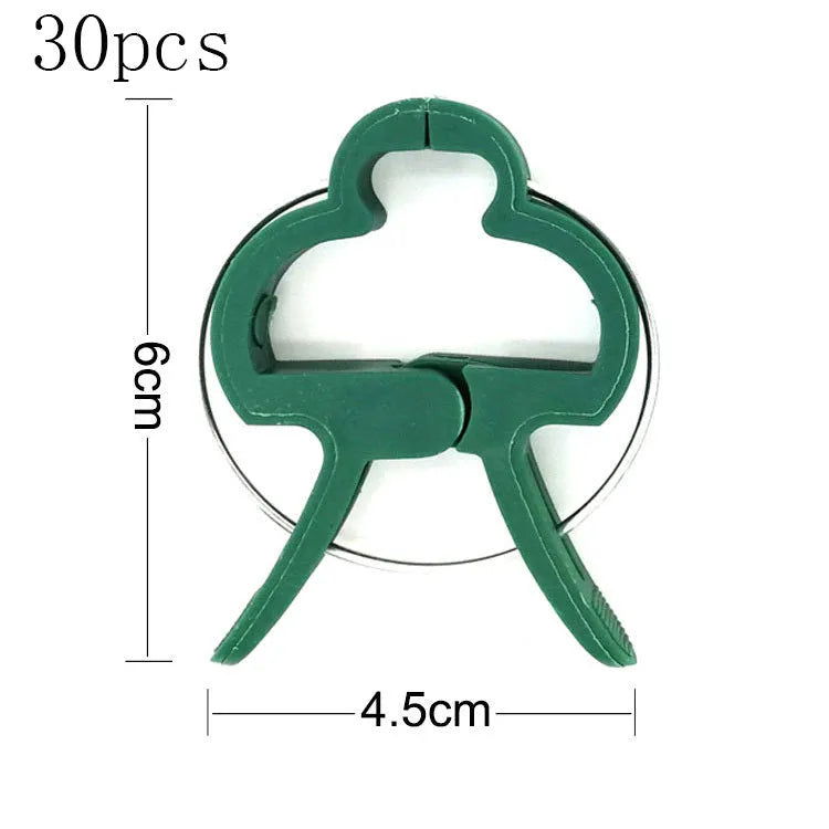Green plastic and zinc plant fixing clips for supporting climbing beans and tomatoes.