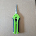 Pair of green stainless steel pruning gardening scissors 16.5 cm long on white background