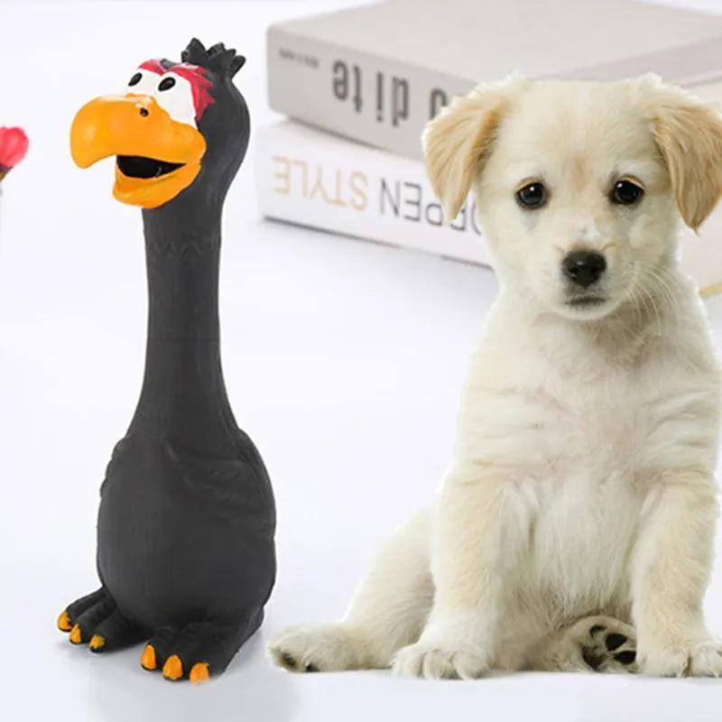 Dog screaming chicken sounding toy in natural latex, 20cm, bite resistant, black colour, on plain background