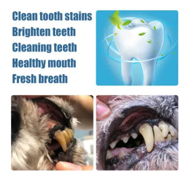 Pet teeth whitening pen set with two 3ml applicators and dental brushes for dog and cat dental care