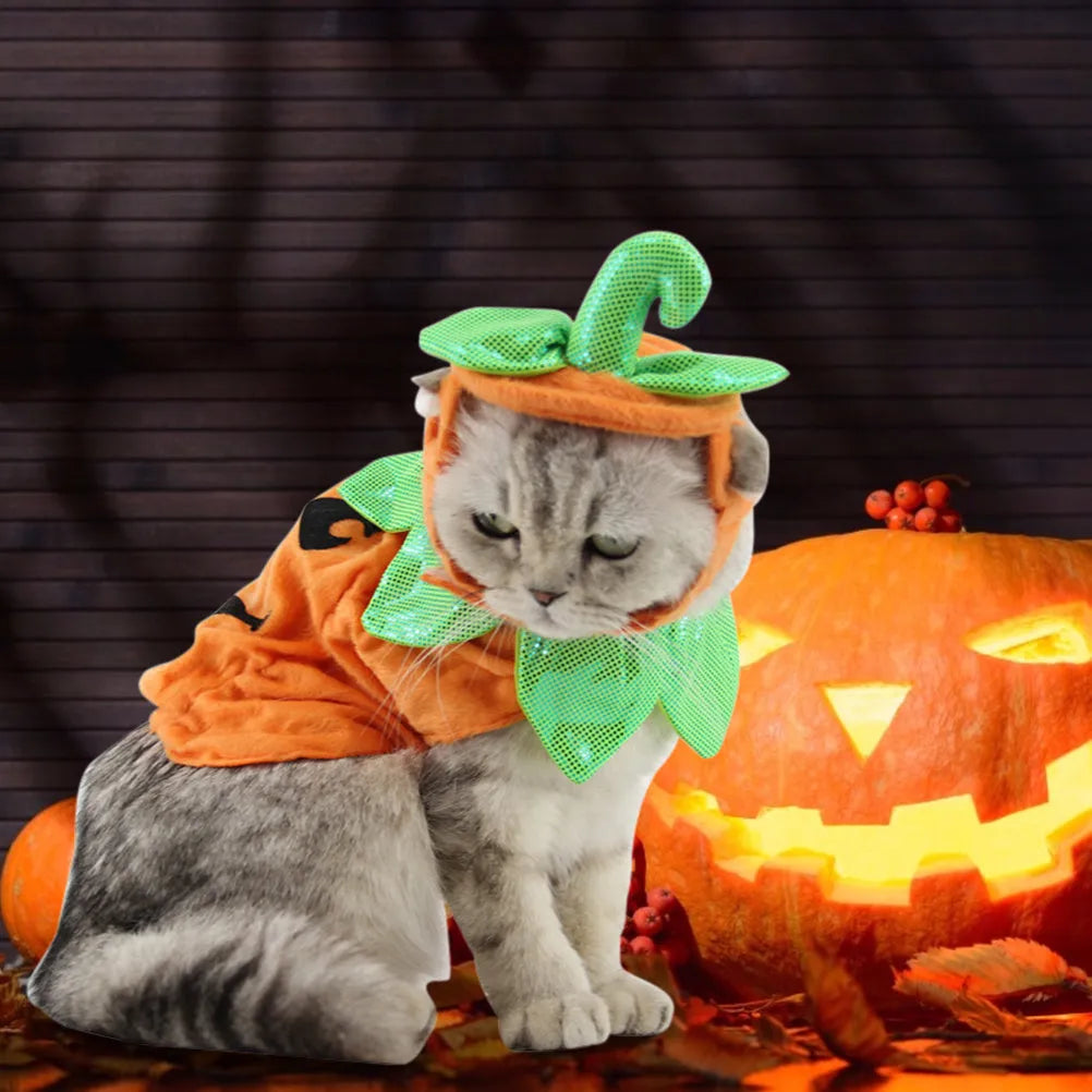Halloween pumpkin pet costume for cats and small dogs with green leaf decoration and adjustable hat