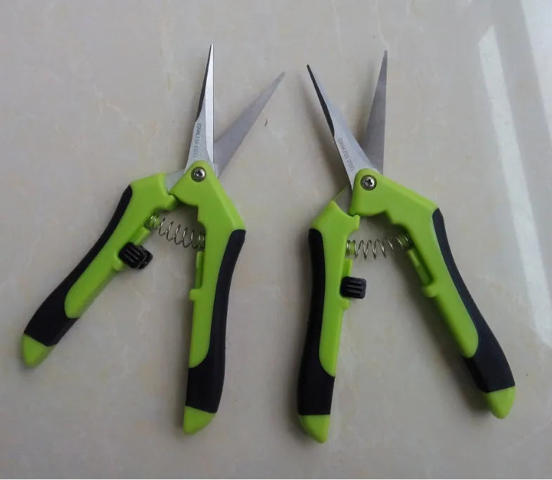 Pair of green stainless steel pruning gardening scissors 16.5 cm long on white background