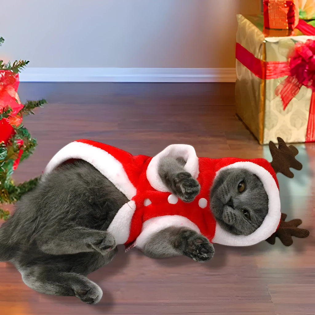 Red flannel Santa dog costume for small dogs with festive Christmas theme