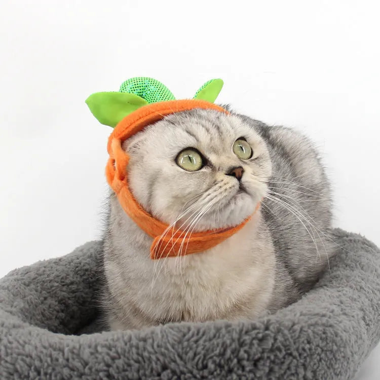 Halloween pumpkin pet costume for cats and small dogs with green leaf decoration and adjustable hat
