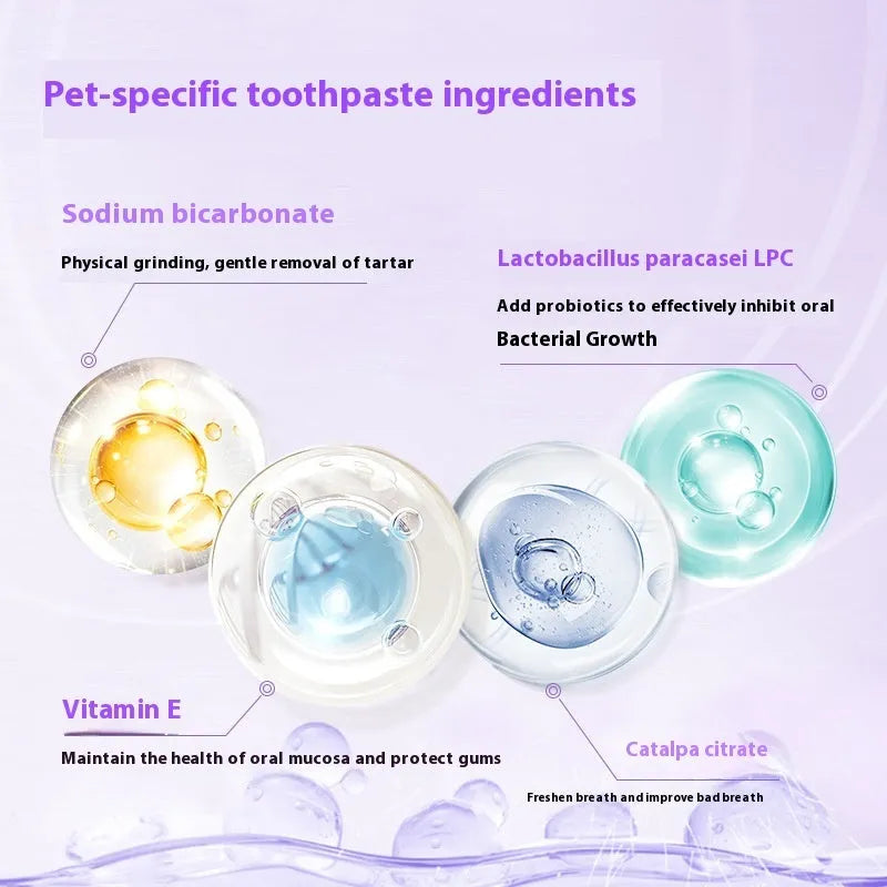 5ml pet tooth cleaning pen with brush applicator for dog and cat teeth whitening and tartar removal.