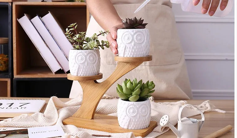 Set of three white ceramic owl planters on a bamboo tree stand against a neutral background