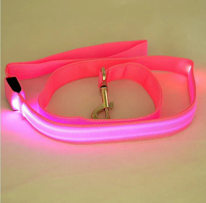 Glowing LED dog leash in blue colour with nylon webbing and buckle clip on a dark background