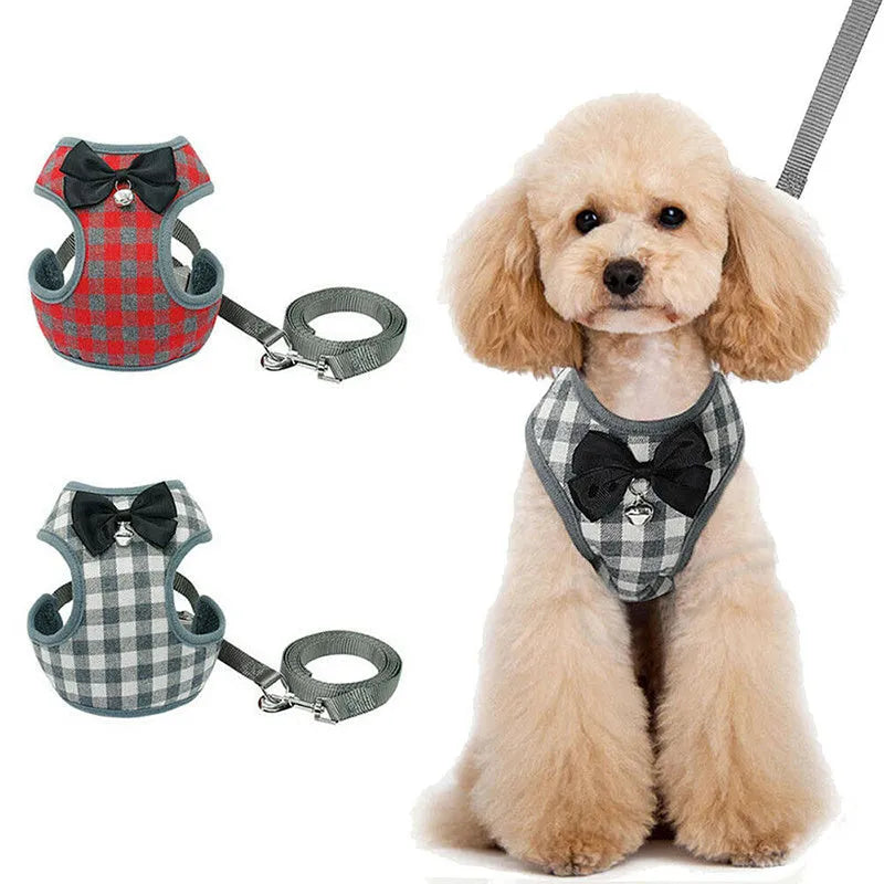 Gray cloth dog chest strap harness with buckle closure and leash on a light background
