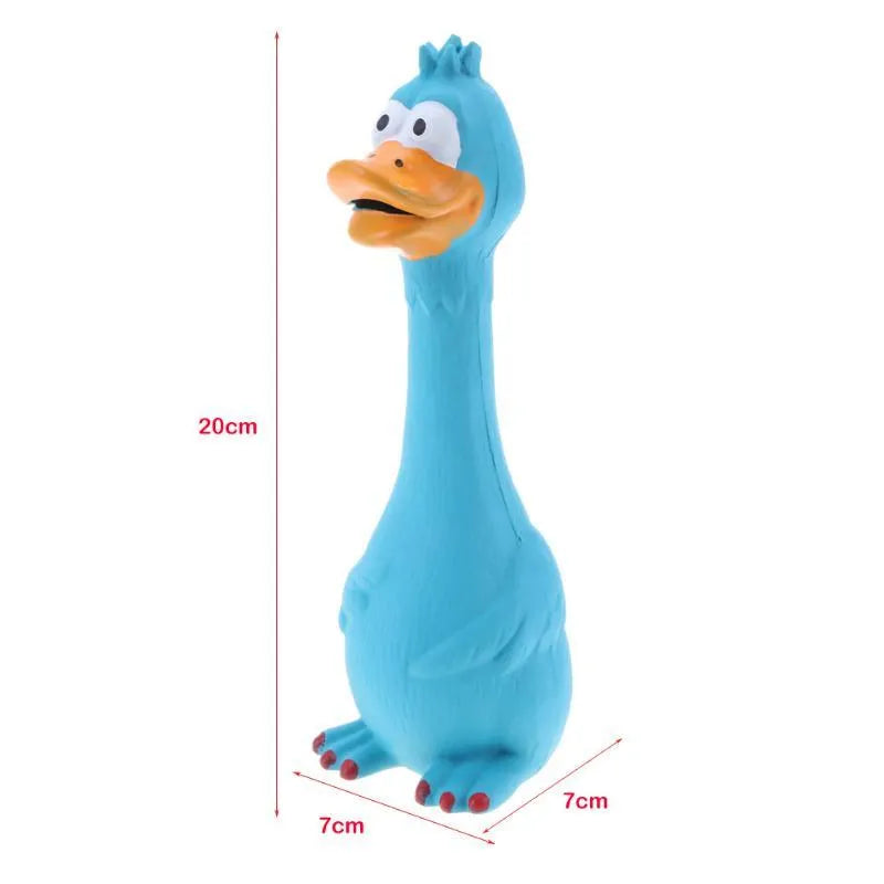 Dog screaming chicken sounding toy in natural latex, 20cm, bite resistant, black colour, on plain background