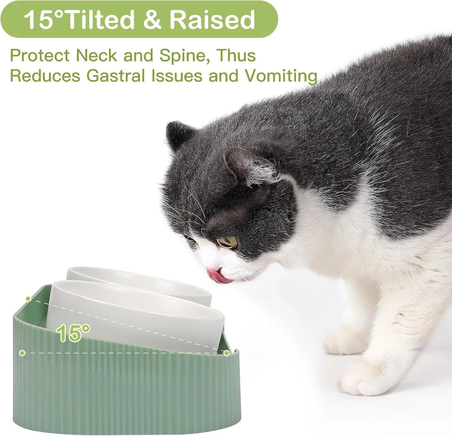 Green ceramic raised cat bowls on a tilted stand for anti-vomiting feeding