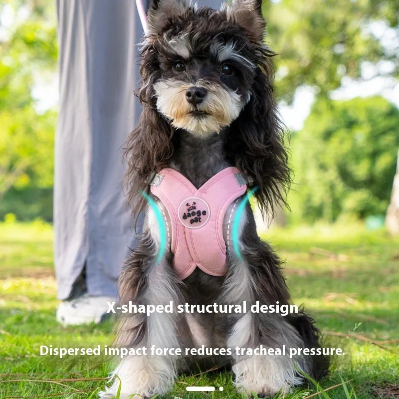 Polyester dog vest and matching hand holding rope leash set in blue, green, pink, or yellow.