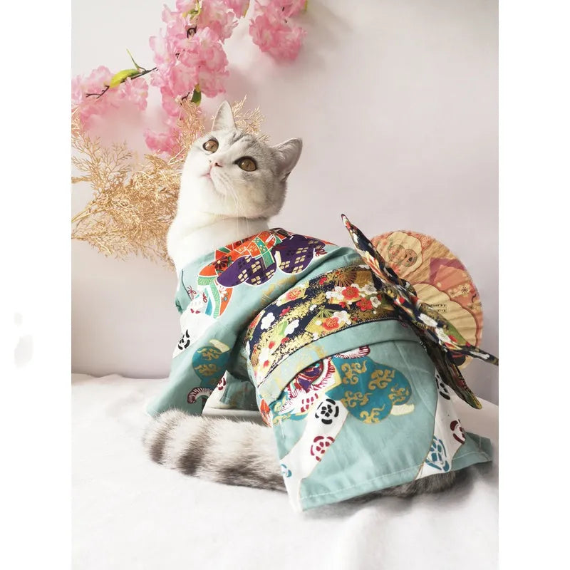 Small dog wearing a cherry blossom print kimono-style pet clothing in a standing pose