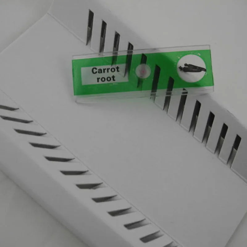 Plastic microscope slides for children with colour-coded biological specimens including plant rhizomes