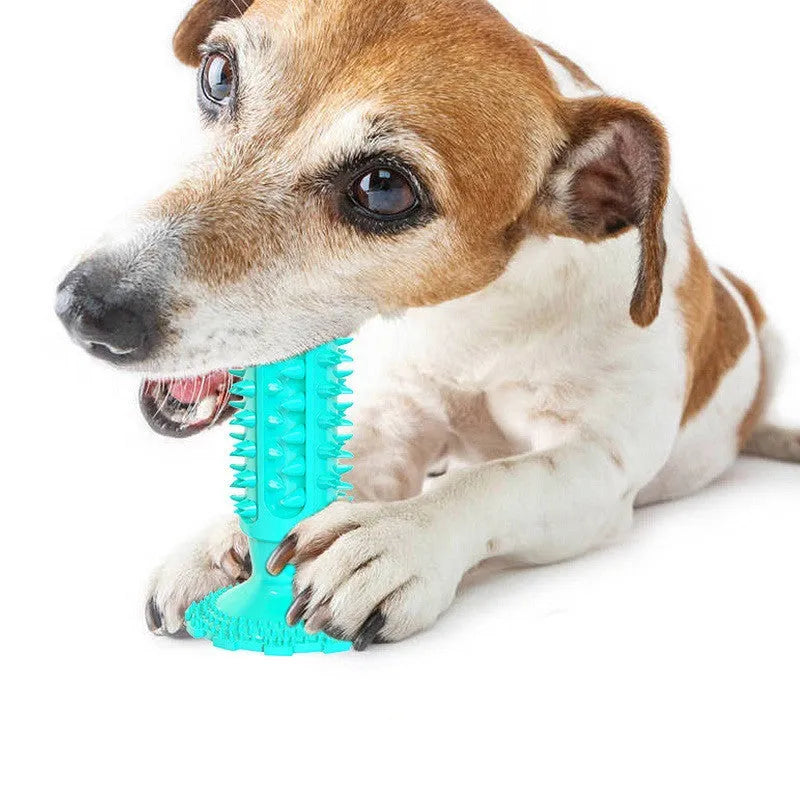 TPR dog toothbrush molar stick in lake blue with serrated edge for teeth cleaning