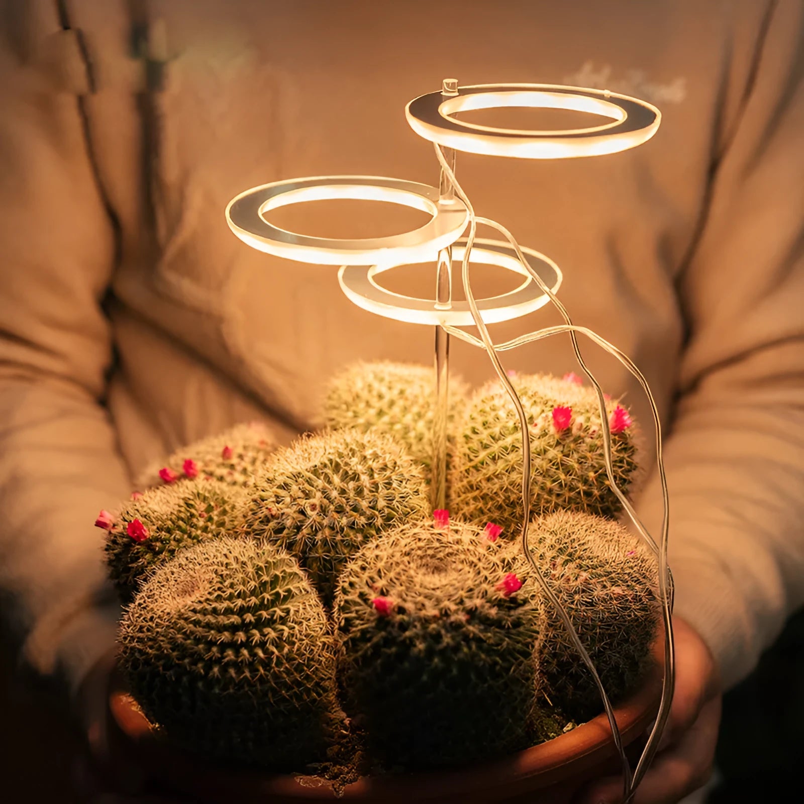 USB LED grow light with acrylic stick for indoor plant growth lighting