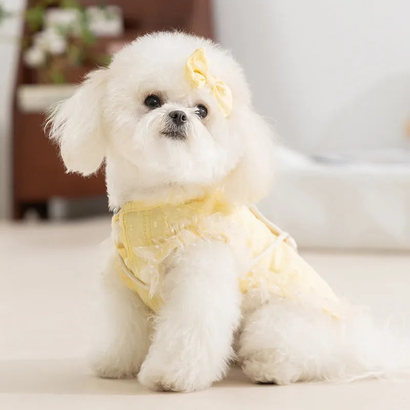 Small dog wearing two-tone blue country costume with ruffles, matching bow, and small woven crossbody bag