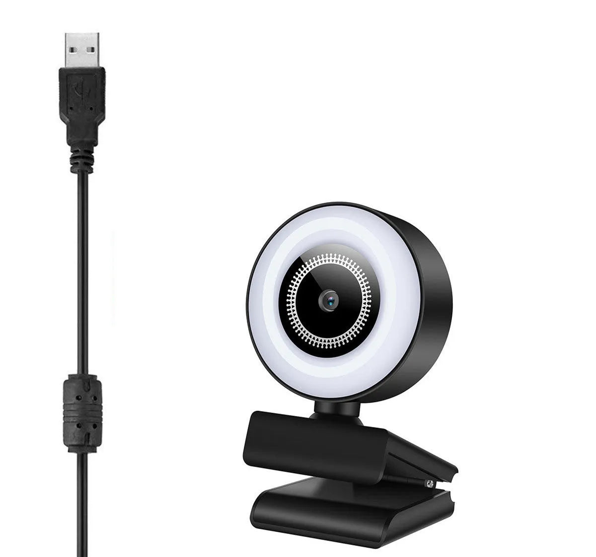USB webcam on a computer monitor with adjustable LED fill lights around the lens.