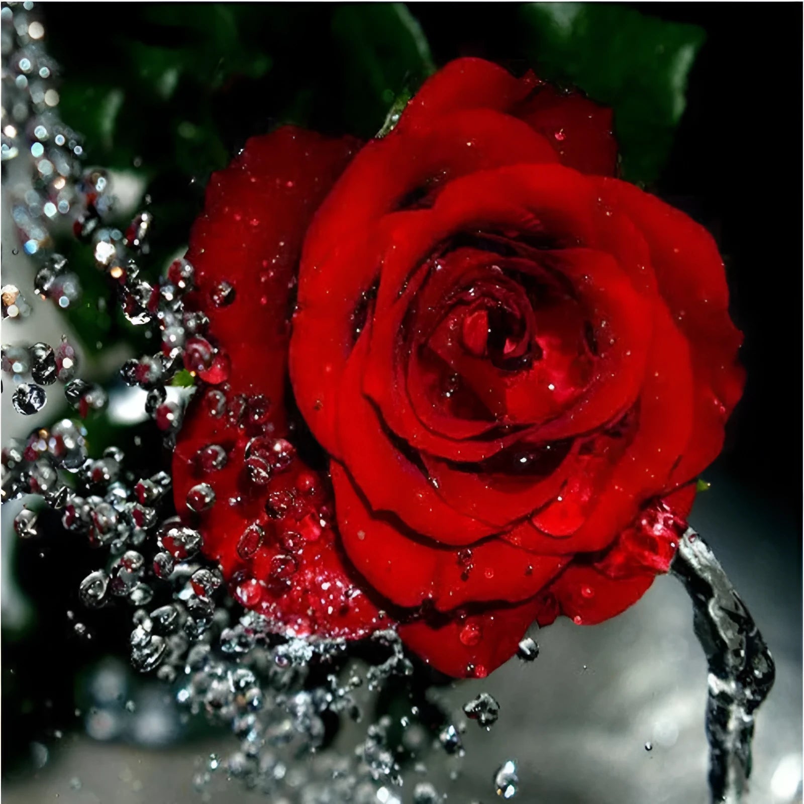 Frameless hand-painted digital oil painting of red rose on 40x50cm linen canvas
