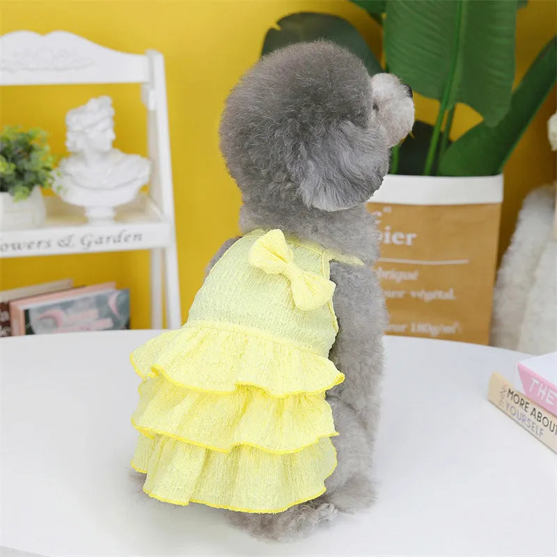 Small dog wearing a layered princess dress in a candy skirt style, available in rose red, yellow, or green.