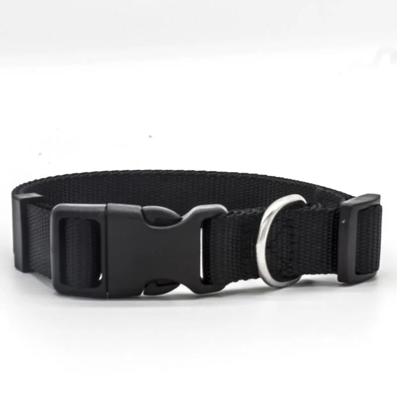 Soft nylon pet collar with neoprene lining, adjustable buckle, and metal D ring on a solid background