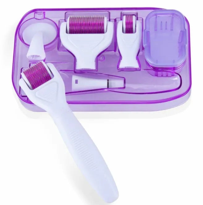DermaKit 6-in-1 derma roller set with stainless steel needles, PC handle, face brush, and disinfection groove on white background
