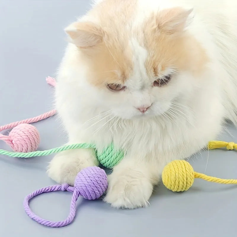 Colourful cat toy ball with rope and built-in bell available in green pink purple yellow for kittens