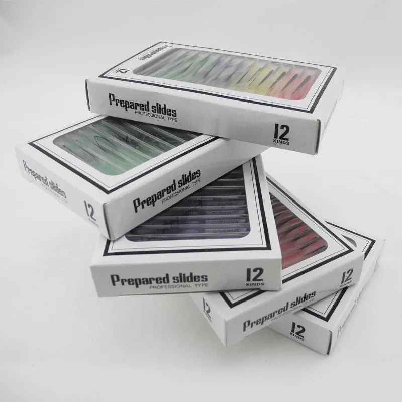 Plastic microscope slides for children with colour-coded biological specimens including plant rhizomes