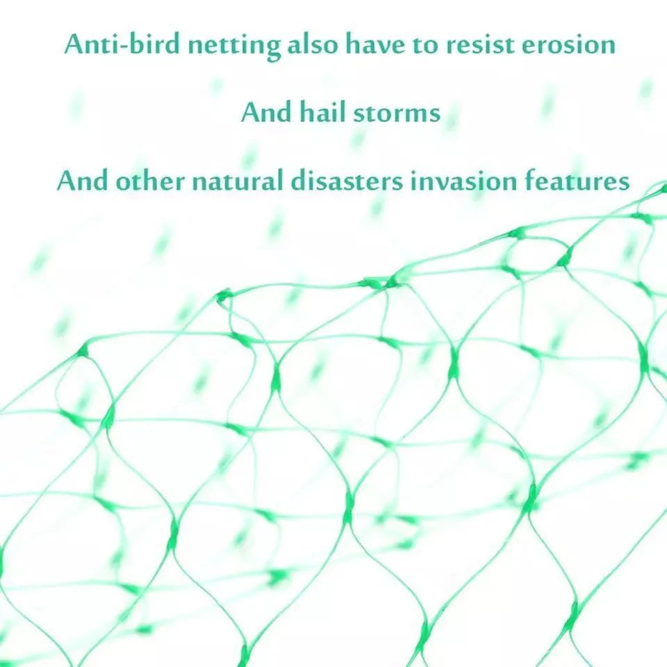 Green polypropylene garden bird net draped over a fruit tree for anti-bird protection