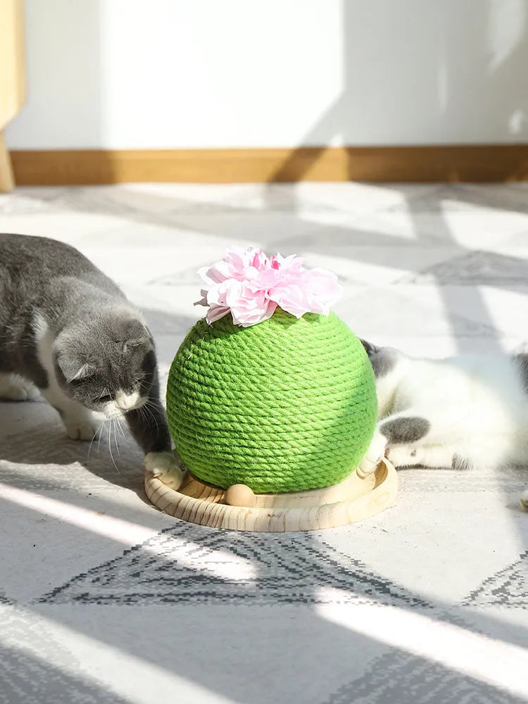 Cactus-shaped vocal cat toy with grinding paw surface and three colour options on a floor
