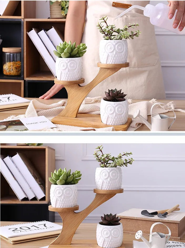 Set of three white ceramic owl planters on a bamboo tree stand against a neutral background