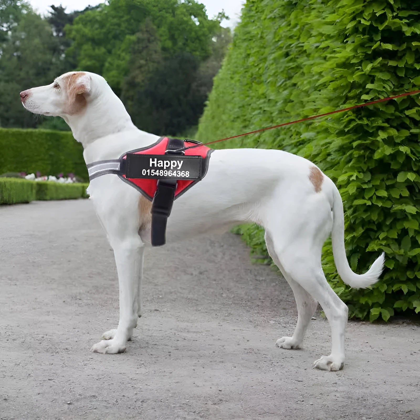 Personalised Custom Reflective Breathable Dog Harness No Pull Adjustable Pet Harness Vest for Small Large Dogs with Patch Nylon Chest Strap Many Sizes and Colours