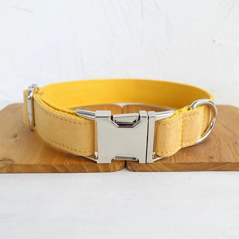 Yellow velvet polyester adjustable dog collar on a light background showing buckle and sizing details.