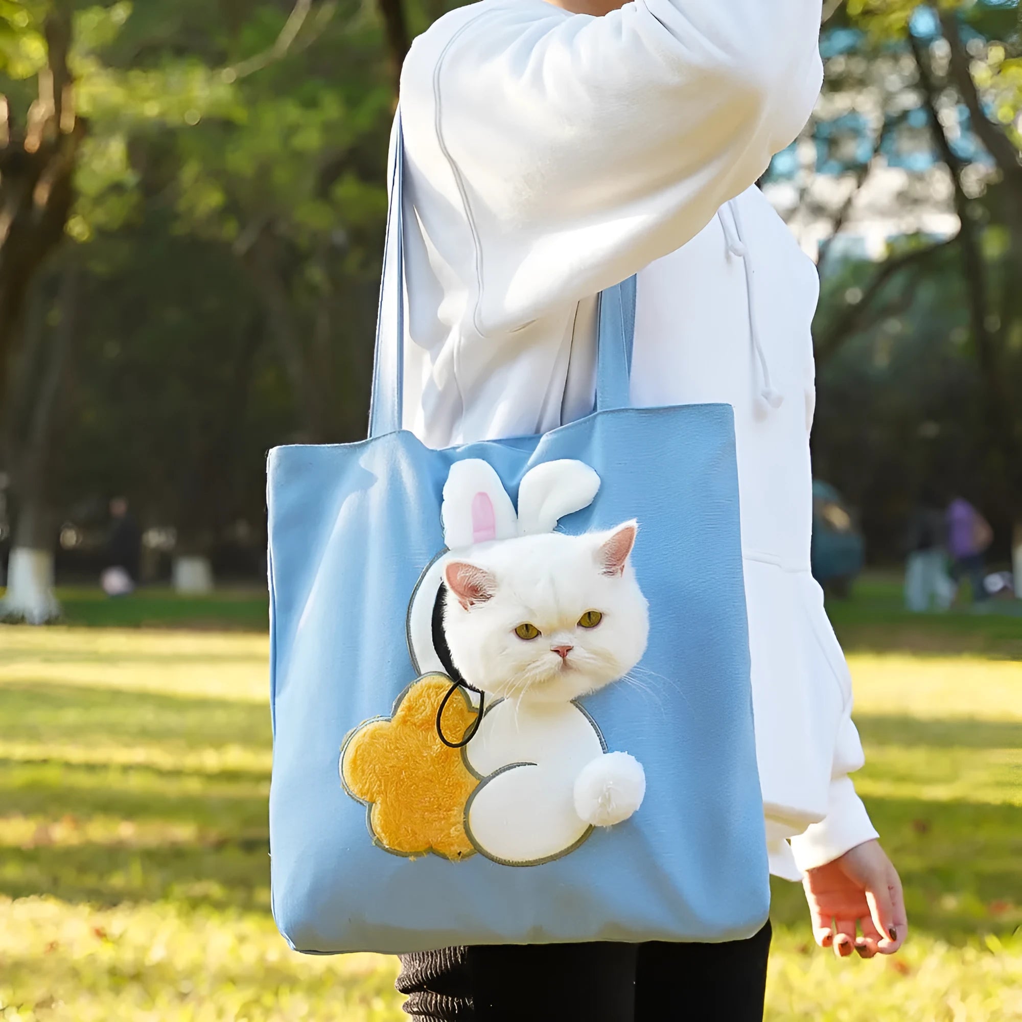 Canvas pet carrier backpack with cartoon design for cat and small dog transport