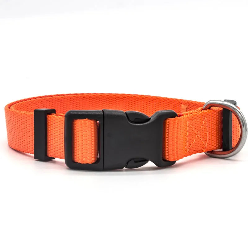 Soft nylon pet collar with neoprene lining, adjustable buckle, and metal D ring on a solid background