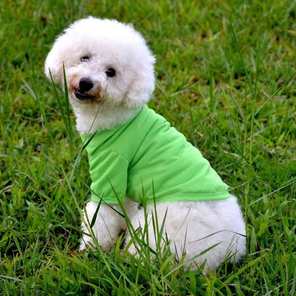 Cotton dog polo shirt in solid colour with collar, available in sizes XS to XL for small medium and large dogs