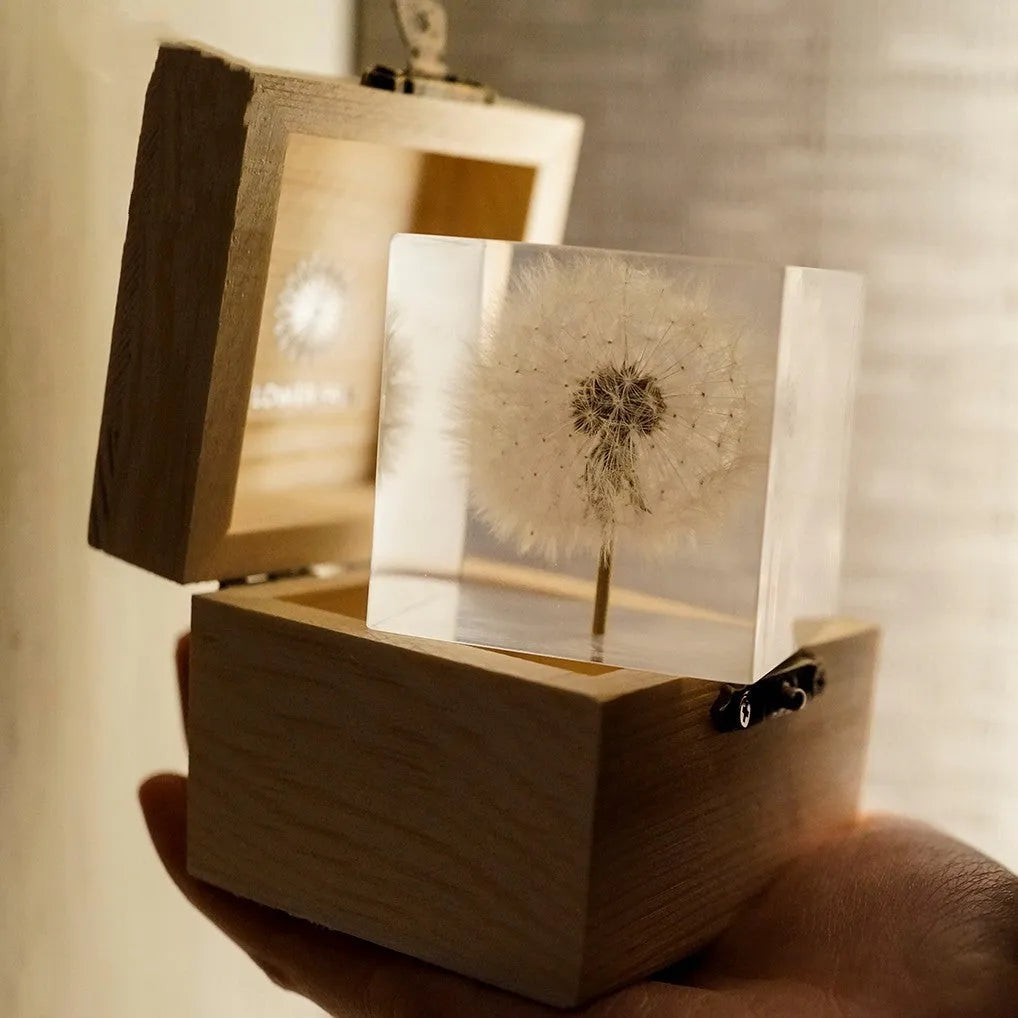 5cm clear resin cube containing one dandelion on wooden box with USB LED base