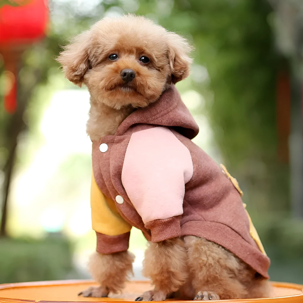 Brown cotton pet hoodie sweatshirt for a dog, sizes XS to 2XL
