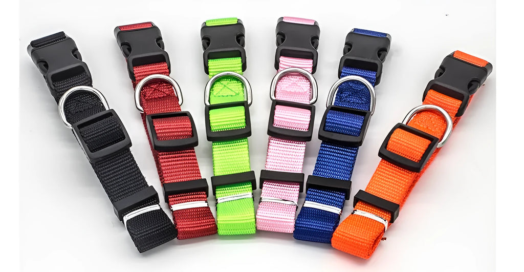 Soft nylon pet collar with neoprene lining, adjustable buckle, and metal D ring on a solid background