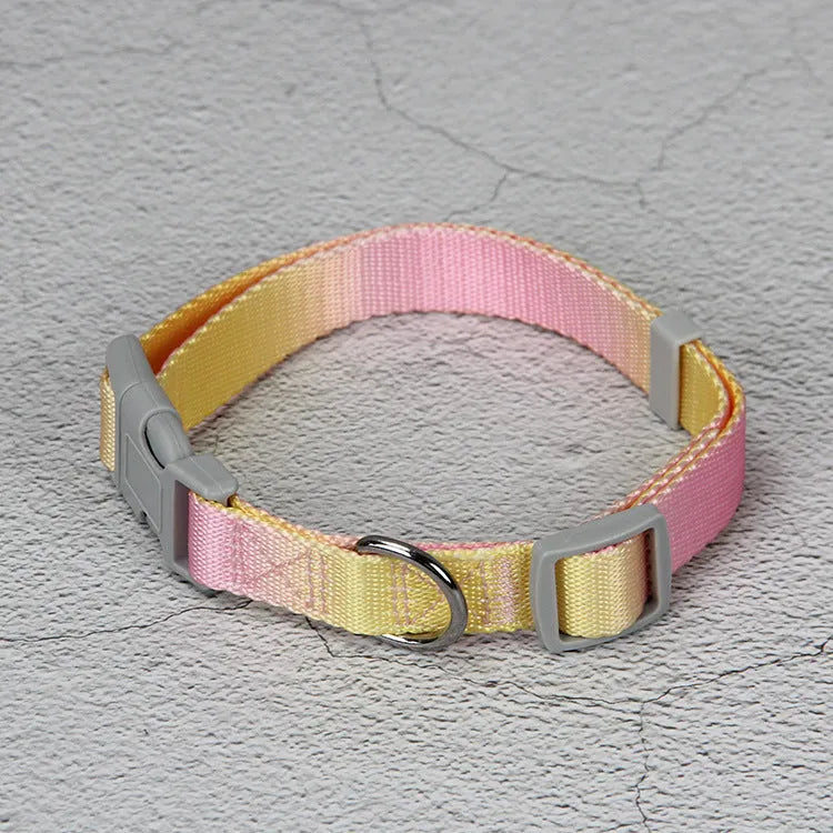 Gradient colour nylon pet leash set with dog collar and lead in pink blue yellow purple green combinations