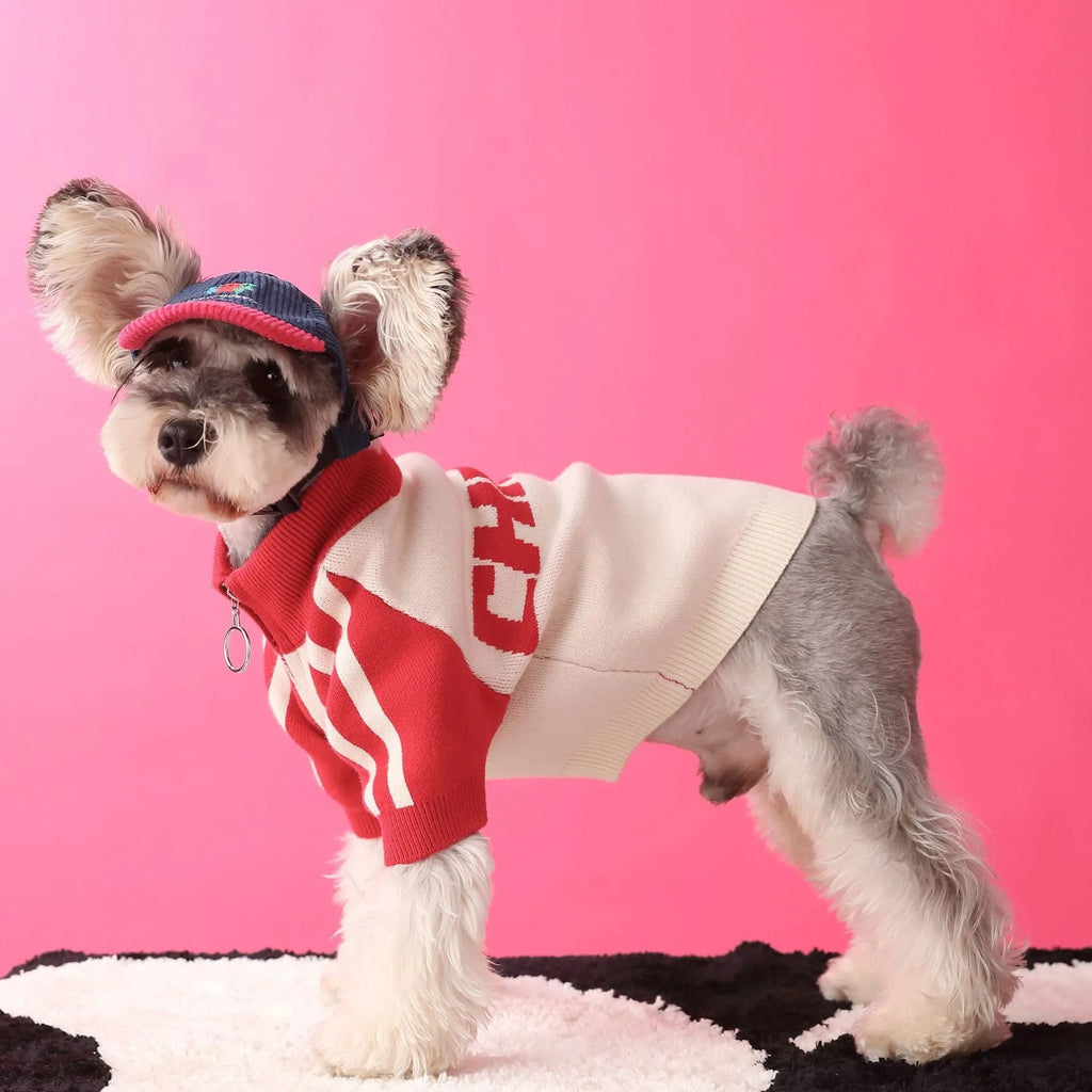 Red wool sports sweater cardigan for a dog on a grey background, size label shown.