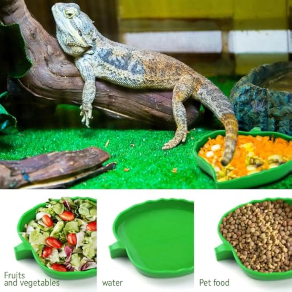 2 pcs leaf-shaped reptile food and water bowls in large and small sizes, made from plastic