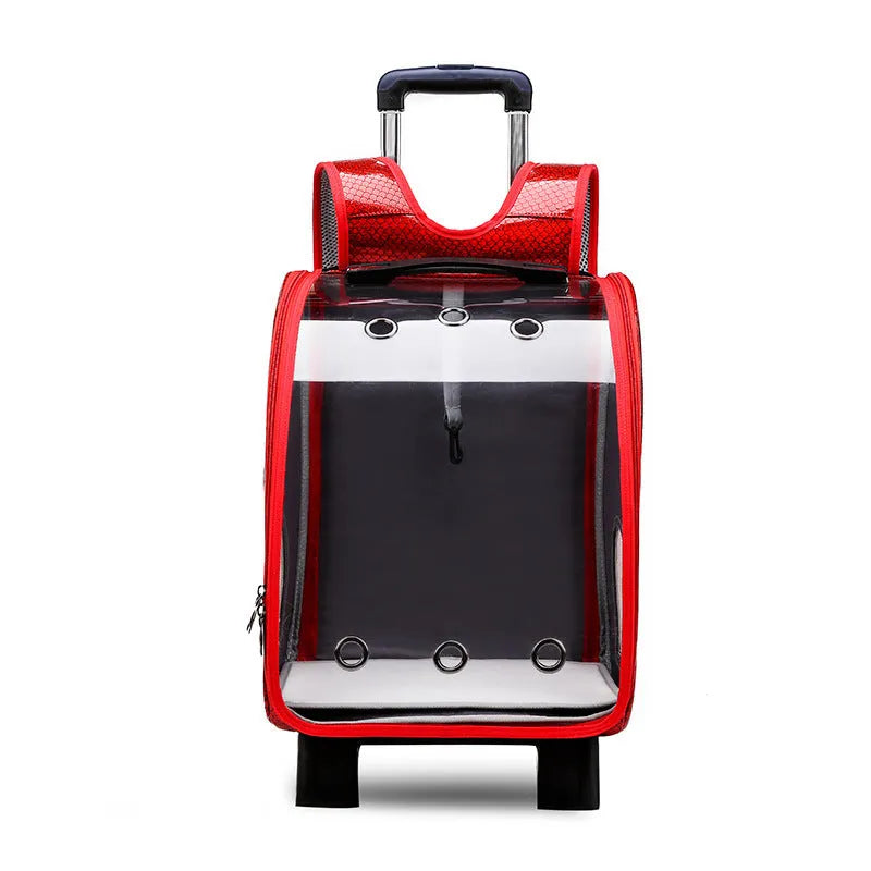 Transparent pet trolley bag with folding design and shoulder strap for small dogs