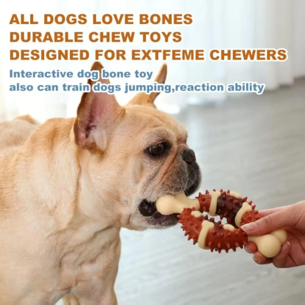 Natural rubber bone-shaped dog chew toy for dental care and anxiety relief in two size options