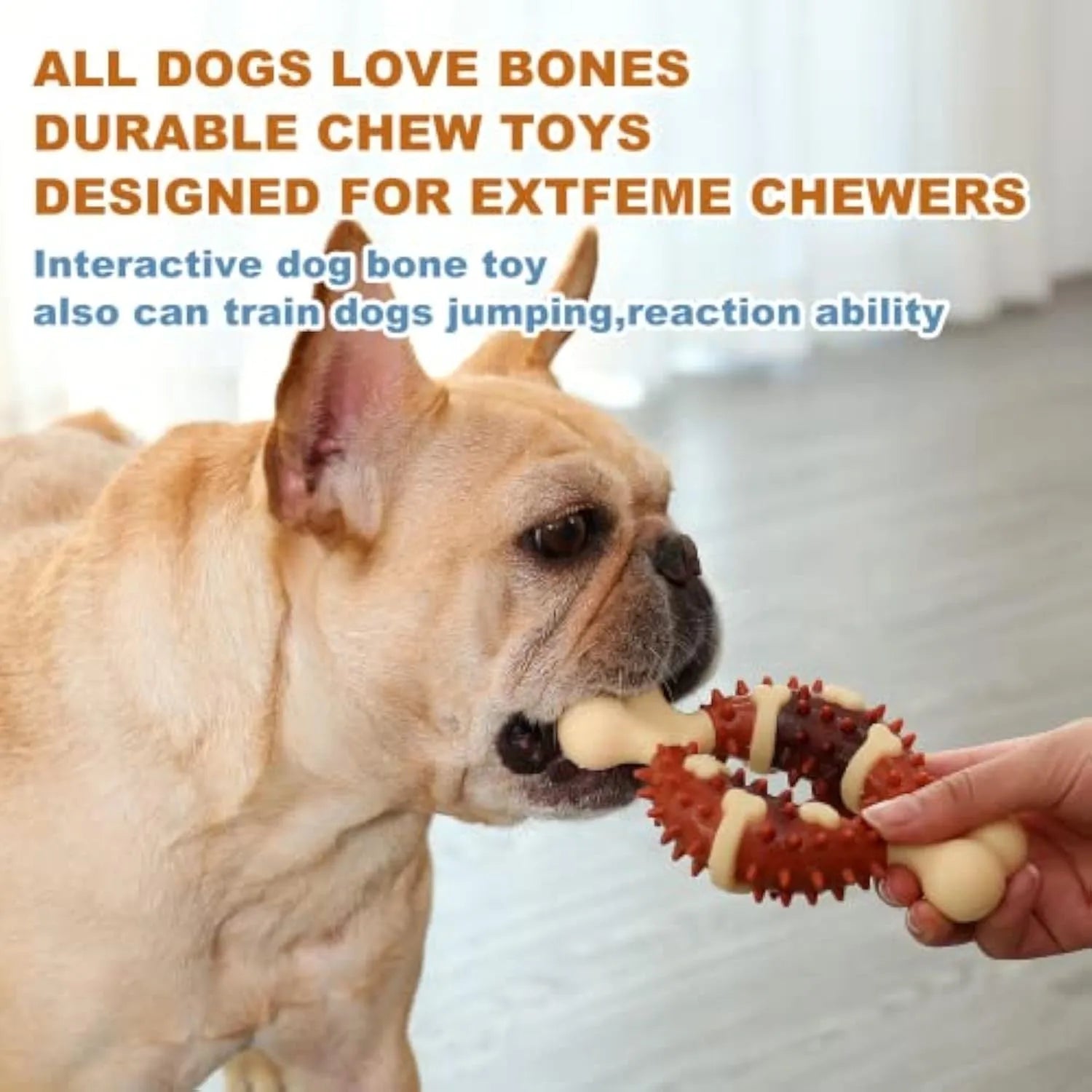 Natural rubber bone-shaped dog chew toy for dental care and anxiety relief in two size options